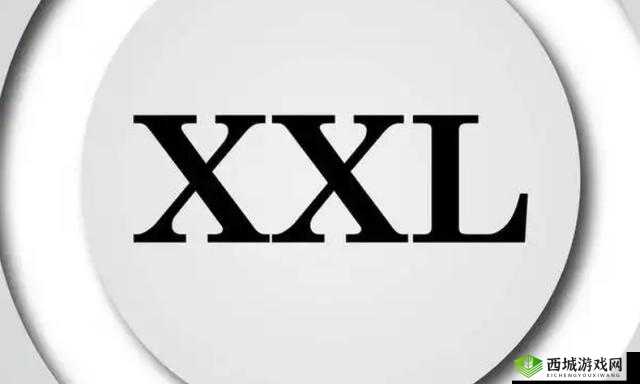 XXXXXL196MD 榛戣壊:一款独特的标识