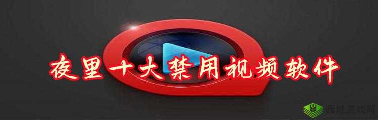 LSP夜里十大禁用软件:需谨慎使用