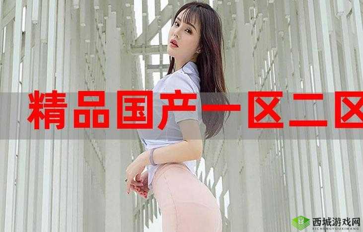 麻豆产精品一二三产区区:引领优质内容创作新潮流