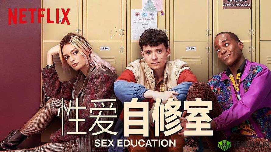 12一13sex性HD高清资源全解析:最新内容与观看指南,全面了解与安全提示